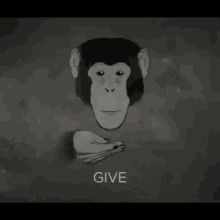 you give