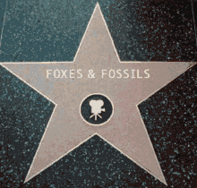 Foxes And Fossils Star GIF - Foxes And Fossils Star Logo GIFs