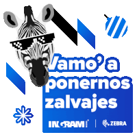 Zebra Zebralizate Sticker
