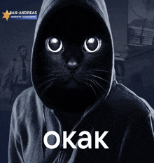 a black cat wearing a hooded sweatshirt with the word okay on it