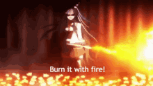 Burn It With Fire! GIF - Burn It With Fire Burn It Fire GIFs