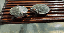 two small turtles are sitting on a wooden shelf