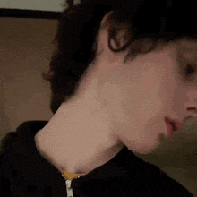 a close up of a person 's neck with a zipper on it .