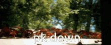 Pluralkit Pluralkit Down GIF