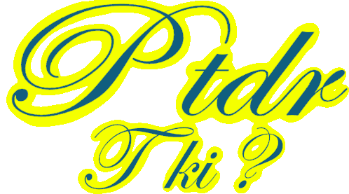Ptdr T Ki Sticker - Ptdr T Ki Stickers