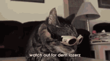 Laser Cat. Yeah. GIF - Cat Laser Shades GIFs