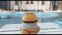 Tim Barkovich GIF