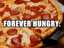 This Is My Mood Right Now!!! Help Me!!! GIF - Hungry Forever Hungry Pizza GIFs