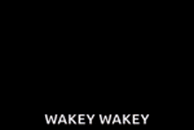 King Julien Wakey Wakey GIF