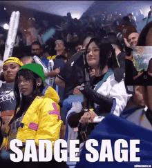 Sadge Sage Sage Sad GIF - Sadge Sage Sage Sad Sad Sage GIFs