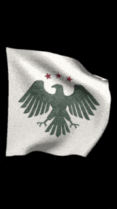 a white flag with an eagle and three stars on it