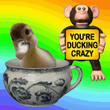 Youre Ducking Crazy Youre Crazy GIF - Youre Ducking Crazy Youre Crazy Youre Potty GIFs