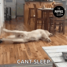 The Puppies Club Shaking GIF - The Puppies Club Shaking Tantrums GIFs