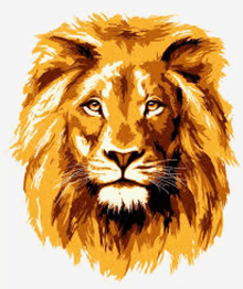 S Lion GIF - S Lion GIFs