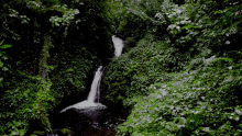 Waterfall Peace GIF