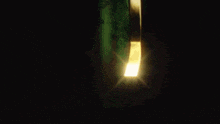a close up of a green object with a gold rim