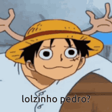 Lolzinho Pedro GIF - Lolzinho Lol Pedro GIFs