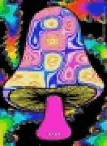 Rainbow Mushroom GIF - Rainbow Mushroom Changing Color GIFs