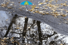 a blue and green umbrella is floating in a puddle on the ground
