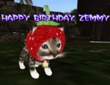 a cat wearing a strawberry hat with the words happy birthday zemmy in the background