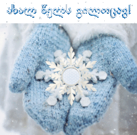a person wearing blue mittens holding a snowflake