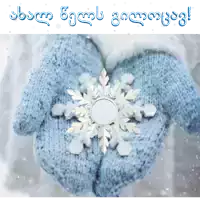 a person wearing blue mittens holding a snowflake