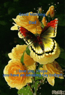a butterfly is sitting on a bunch of yellow roses with the words good morning dad