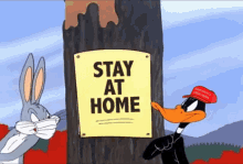 Buggs Daffy GIF - Buggs Daffy Stay At Home GIFs
