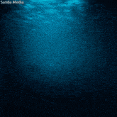 a picture of a scuba diver in the ocean taken by sanda media
