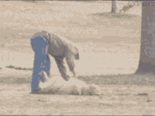 Tired Lazy GIF - Tired Lazy Dog GIFs