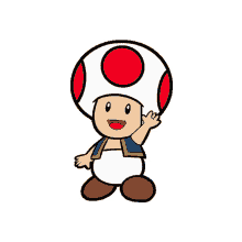 toad todd