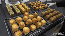 a bunch of cupcakes are on a cooling rack with the words made in animotica on the bottom right