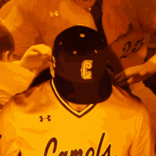Joey Skracic Campbell Baseball GIF - Joey Skracic Campbell Baseball Roll Humps GIFs