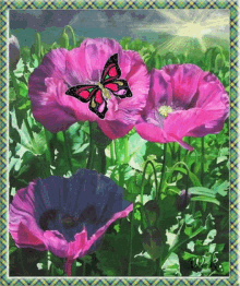 Flowers Butterfly GIF - Flowers Butterfly GIFs
