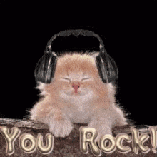 You Rock Dj Kitten GIF - You Rock Dj Kitten GIFs