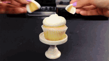 unicorn cupcake cute food design frosting