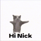 Happy Cat GIF - Happy Cat Nick GIFs
