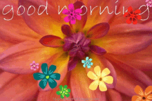 Good Morning Flower GIF - Good Morning Flower GIFs