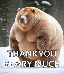 a picture of a very fat bear with the words thank you beary much below it
