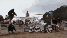 Seesaw Tease GIF - Seesaw Bull Try To Get Them GIFs