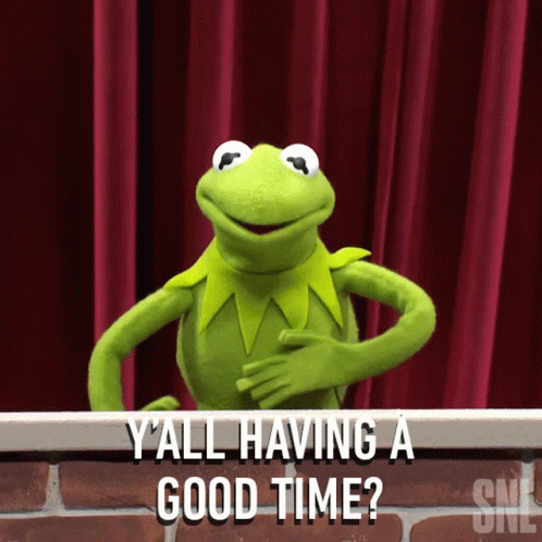 Yall Having A Good Time Kermit The Frog GIF - Yall Having A Good Time Kermit  The Frog Saturday Night Live - Discover & Share GIFs