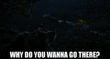 The Jungle Book Baloo GIF - The Jungle Book Baloo Why Do You Wanna Go There GIFs