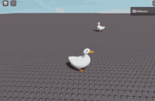 duck game duck game