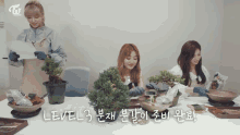 Twice Tv Home Gardening GIF - Twice Tv Home Gardening Jeongyeon GIFs