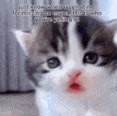 Esuna Ffxiv GIF - Esuna Ffxiv Cat GIFs