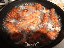ทอด ของทอด ทำอาหาร GIF - Fry Frying Cook GIFs