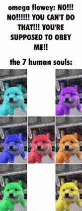 The 7 Human Souls Dog GIF