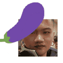 bonk eggplant