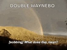 a picture of a double rainbow with the words double waynebo
