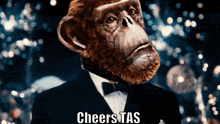 Tas The Ape Society GIF - Tas The Ape Society Ape Society GIFs
